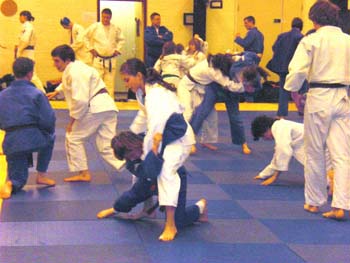 randori_sarah